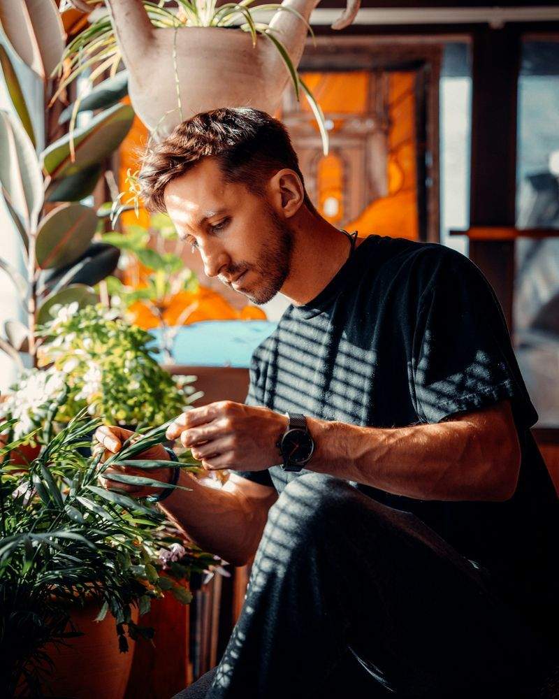 植栽プランニング